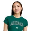 Picture of Kids Sport Seasonals Collegiate Typography T-Shirt Junior