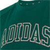 Picture of Kids Sport Seasonals Collegiate Typography T-Shirt Junior