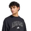 Picture of Seasonal Essentials Collegiate Fleece Crew Sweatshirt