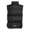 Picture of Synthetic Down Vest