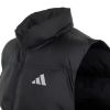 Picture of Synthetic Down Vest