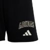 Picture of Junior Seasonals Collegiate Typography Shorts