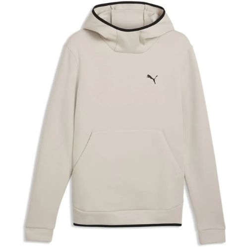 Picture of Pumatech Slim Hoodie
