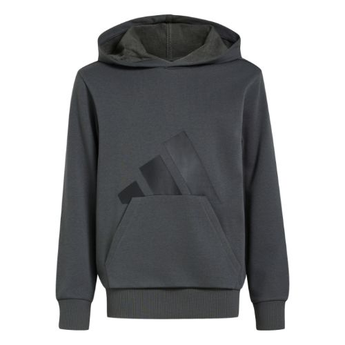 Picture of Kids Essentials Hoodie
