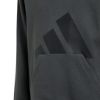 Picture of Kids Essentials Hoodie