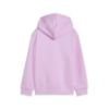 Picture of Boys Essentials No. 1 Logo Hoodie