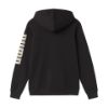 Picture of Boys Essentials Graphic Hoodie