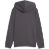 Picture of Kids Essentials Elevated Hoodie