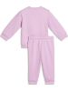 Picture of Toddler Minicats Essentials Crew Set