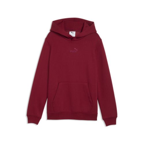 Picture of Kids Essentials Small No.1 Logo Hoodie