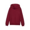 Picture of Kids Essentials Small No.1 Logo Hoodie