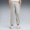 Picture of Boys Essentials Logo Lab Relaxed Pants