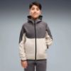 Picture of Boys Pumatech Elevated Full-Zip Hoodie