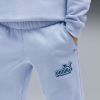 Picture of Girls Essentials Logo Lab Crew Sweat Suit