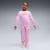 Picture of Girls Essentials Logo Lab Crew Sweat Suit