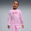Picture of Girls Essentials Logo Lab Crew Sweat Suit