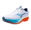 Picture of Wave Rider 30 Running Shoes